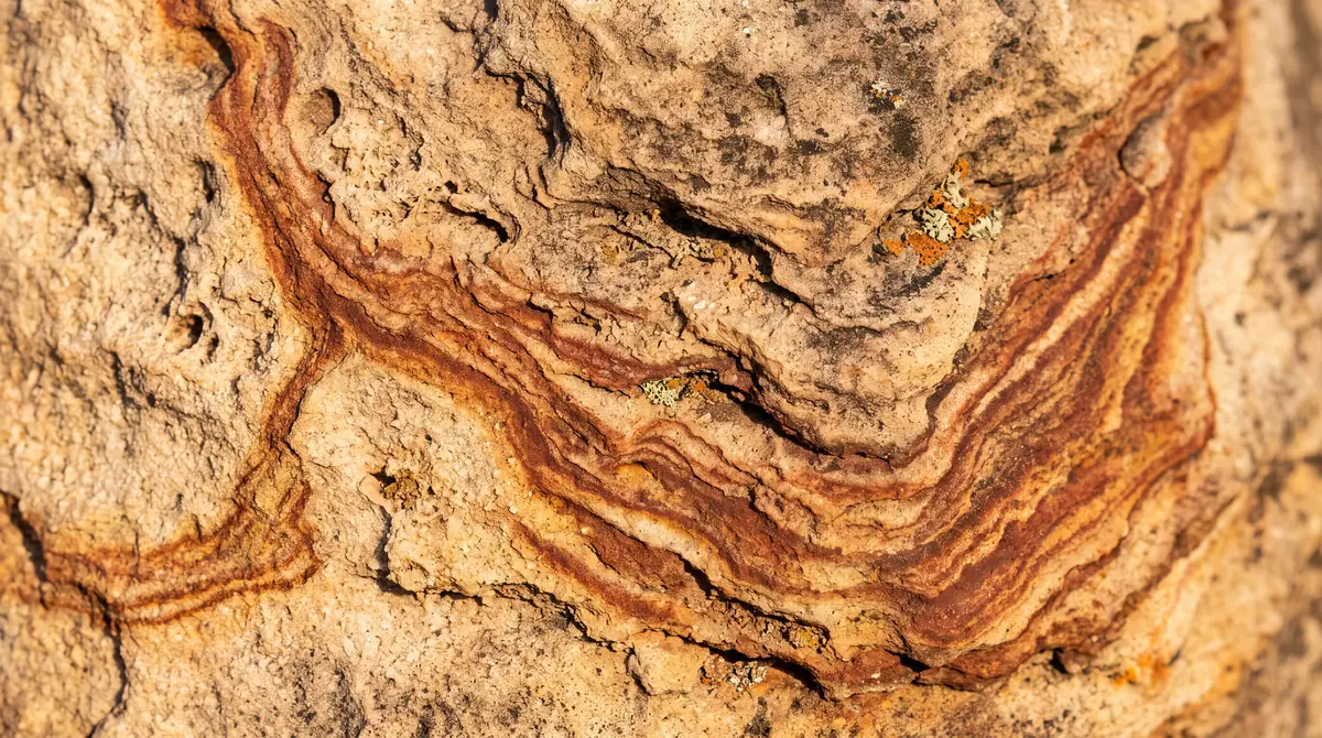 How to Clean Sydney Sandstone Without Damaging the Stone
