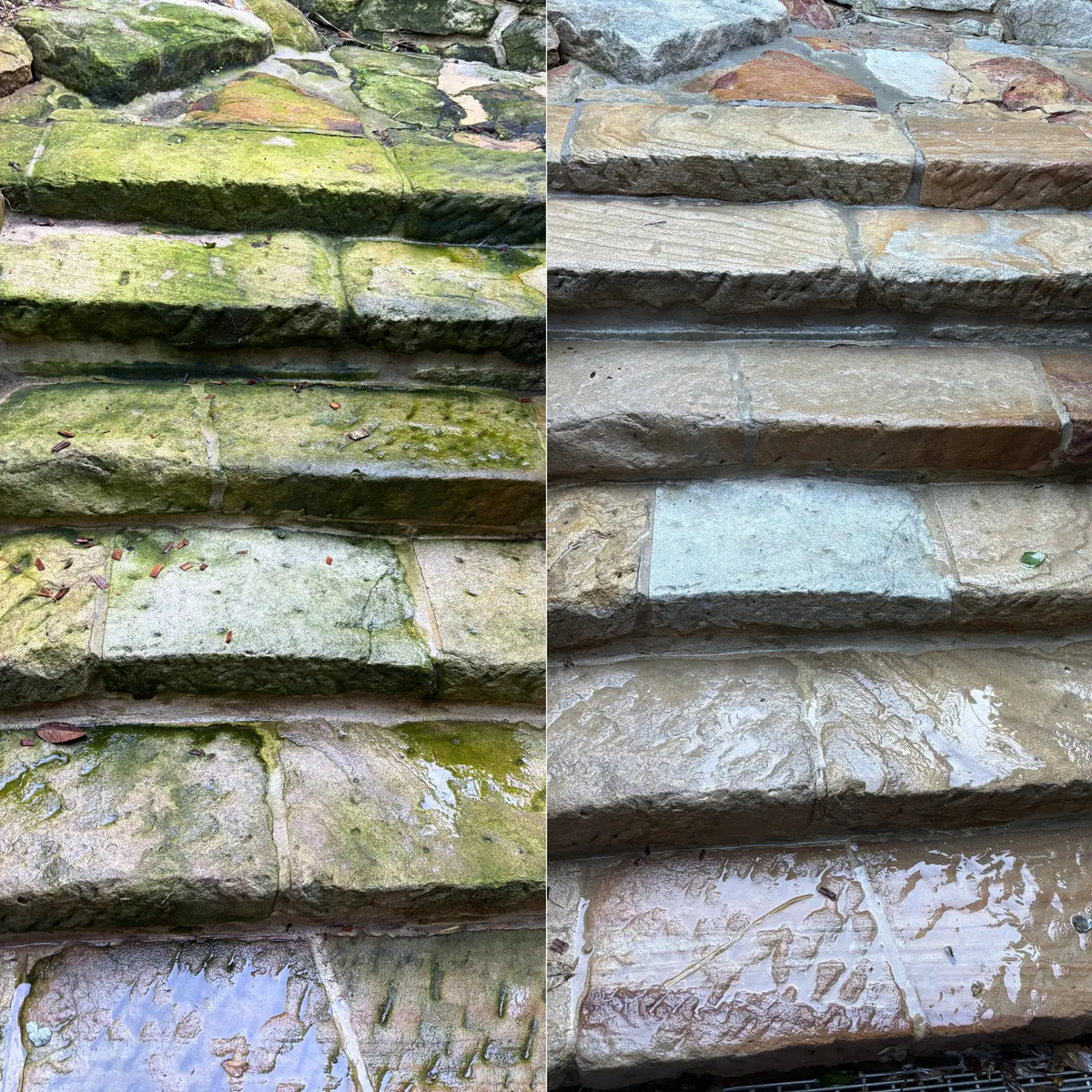 Before and after: Moss and Algae Removed from Shaded Stone Steps
