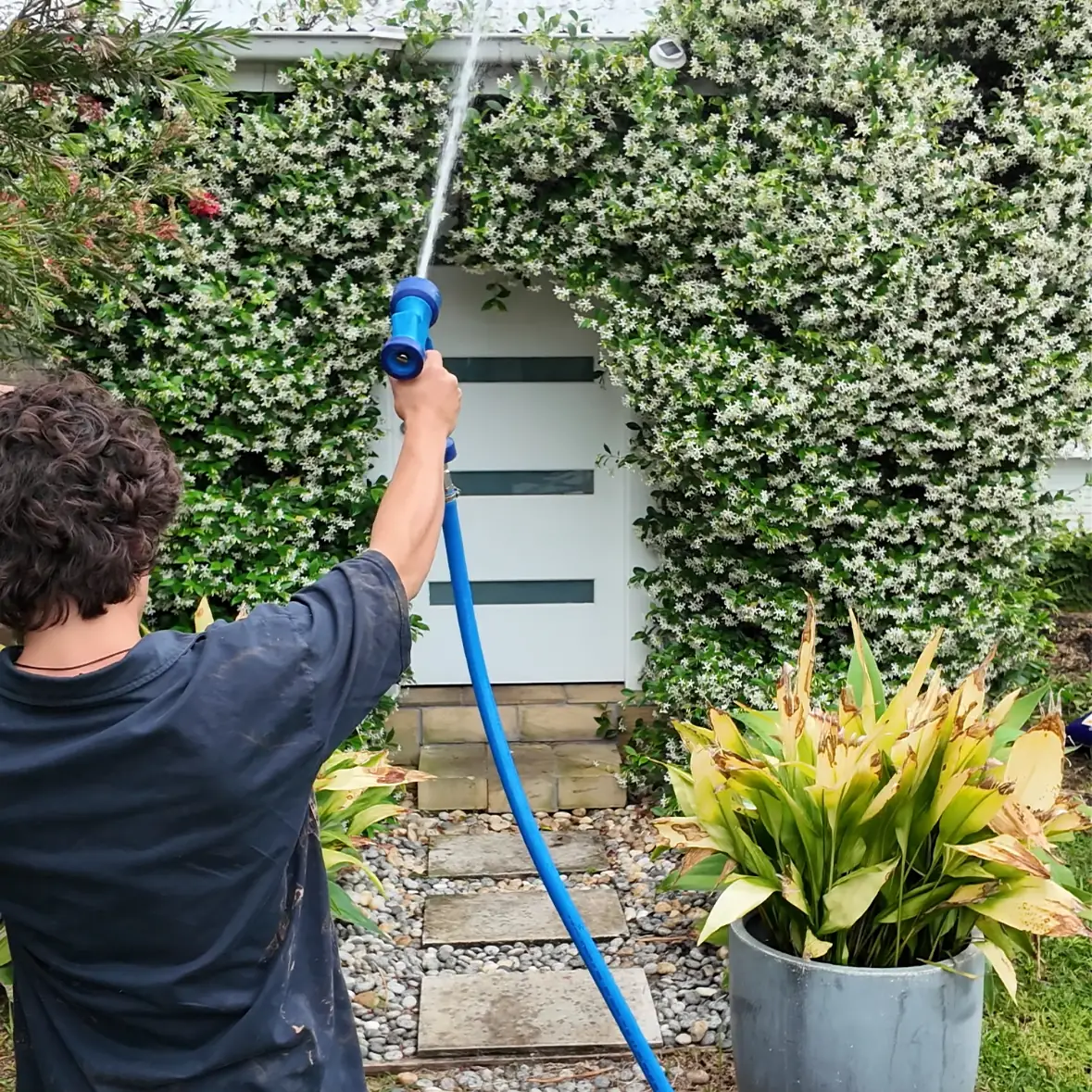 House Washing in Sydney by The Prestige Standard