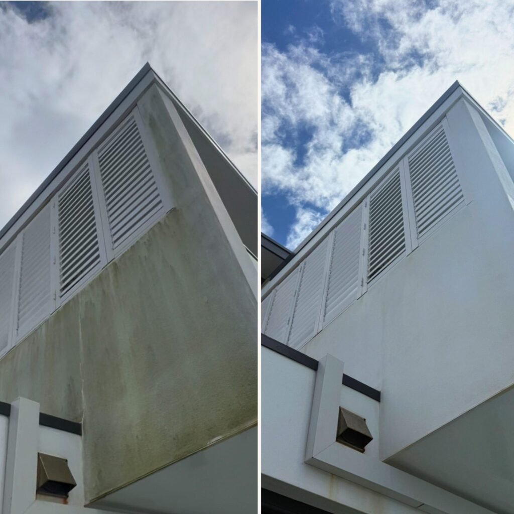 Before and after soft washing algae stains from rendered wall and shutters