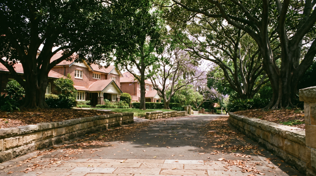 Large Federation and interwar houses in Bellevue Hill under a dense fig and jacaranda canopy, with deep shade across the roofs and driveway