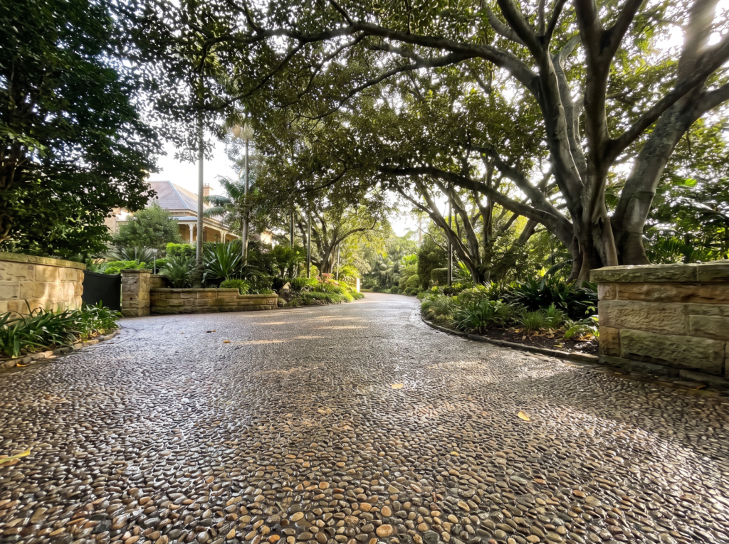 Long exposed-aggregate estate driveway freshly surface-cleaned under fig canopy in Bellevue Hill