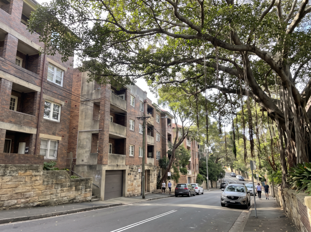 Apartment buildings stacked down the leafy Edgecliff hillside with sandstone retaining walls