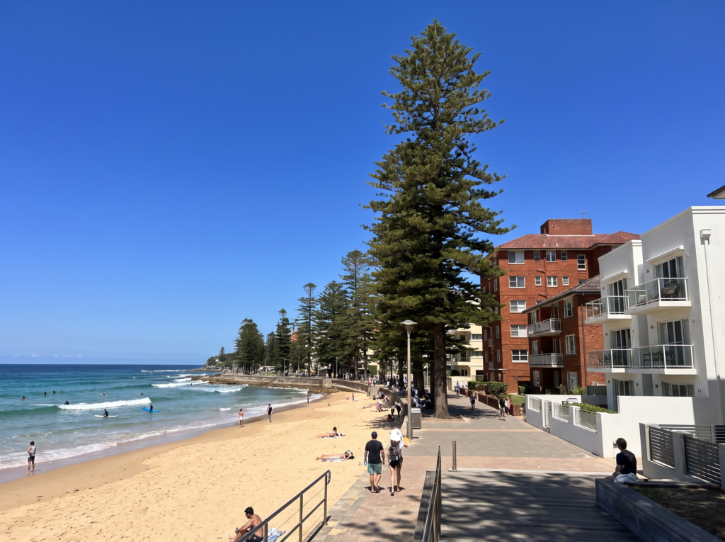 Manly beachfront with Norfolk pines, clean apartment facades and renovated semis