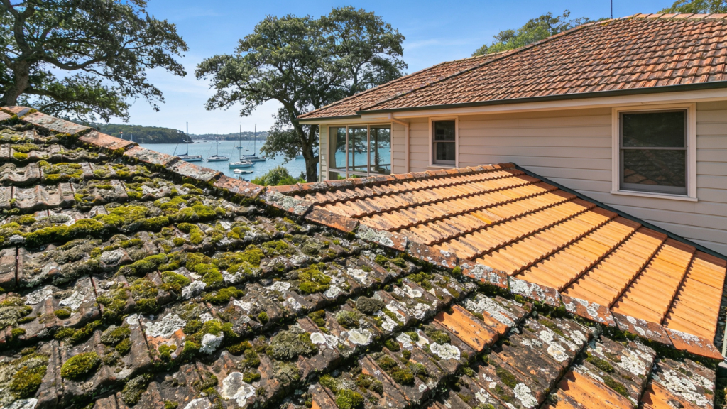Terracotta tiled roof with heavy moss and lichen on the shaded slope beside a treated clean section