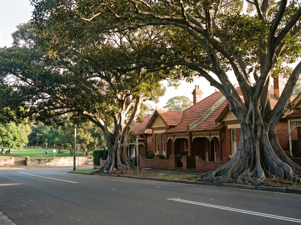 Federation semis beside Queens Park under giant Moreton Bay figs