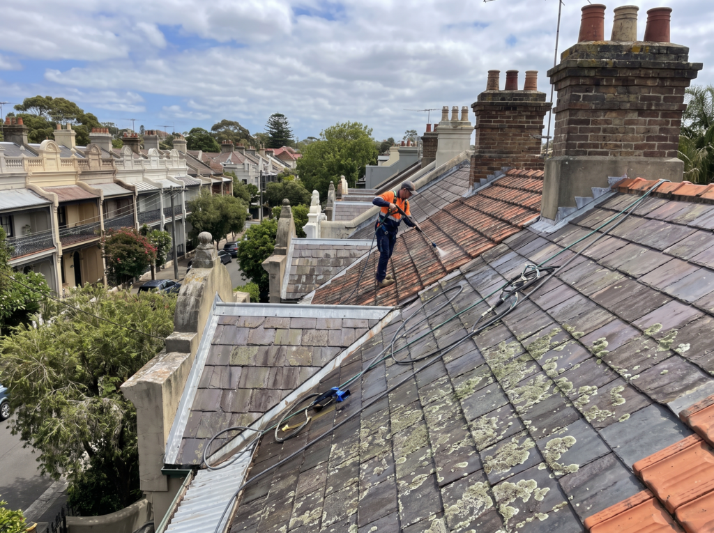 Slate and terracotta terrace roofscape being carefully treated for lichen
