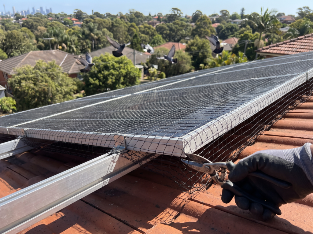 Black mesh bird proofing clipped around rooftop solar panels on a terracotta roof